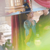 IMG 7250.gif