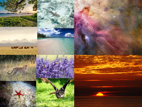 ' Glorified is The Mighty Creator '.jpg