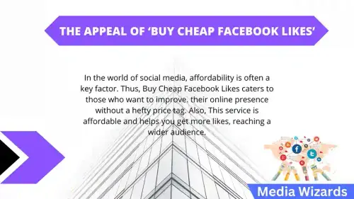The Appeal of Buy Cheap Facebook Likes.webp