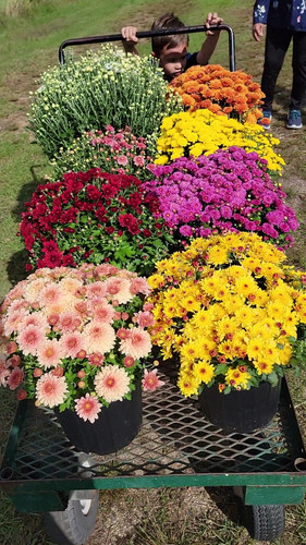 VideoCapture 20230920 203142.jpg