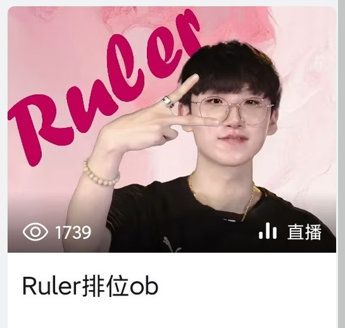 Screenshot 2024 04 08 17 40 43 184 tv.danmaku.bili edit.jpg