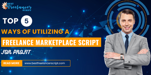 top 5 ways of utilizing a freelance marketplace script for profit.png