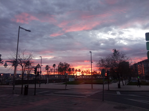 IMG 20240122 082941.jpg