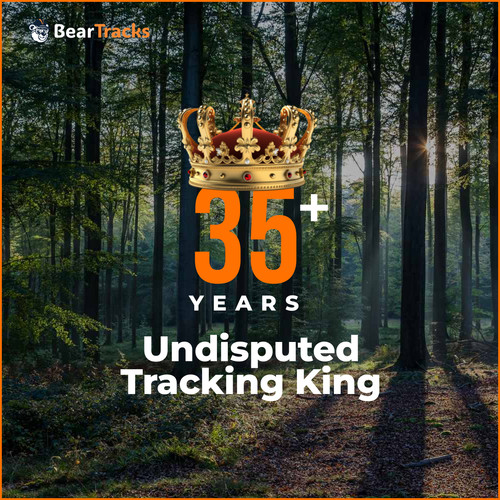 Instagram post 4.jpg