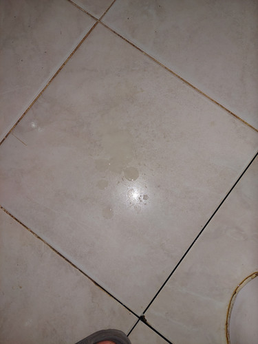 ٢٠٢٤٠٤١٠ ١٠١٠٠٢.jpg