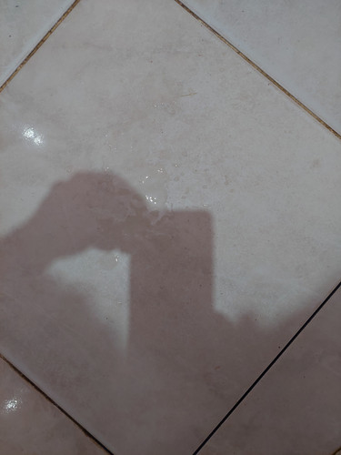 ٢٠٢٤٠٤١٠ ١٠١٠١٦.jpg