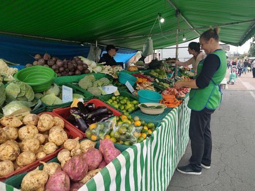 IMG 20240406 095725151 BURST000 COVER.jpg