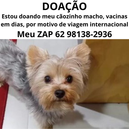 Inserir um título (35).png