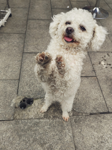 IMG 20240408 221957.jpg