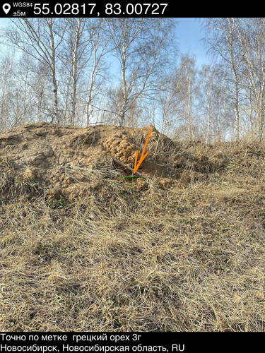 9..jpg