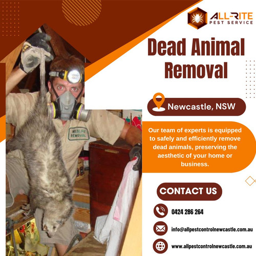 Dead Animal Removal Newcastle.jpg