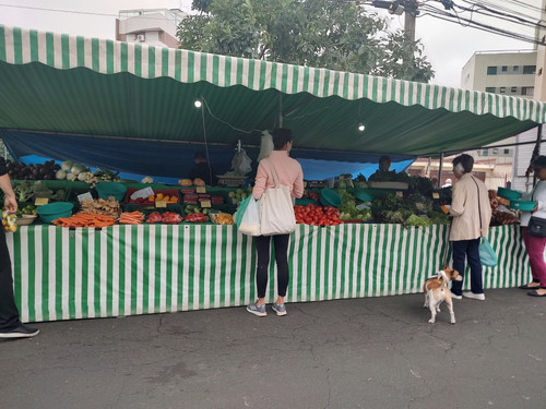 IMG 20240406 095733212 HDR.jpg