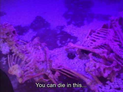 vlcsnap 2024 04 08 10h15m07s131.png