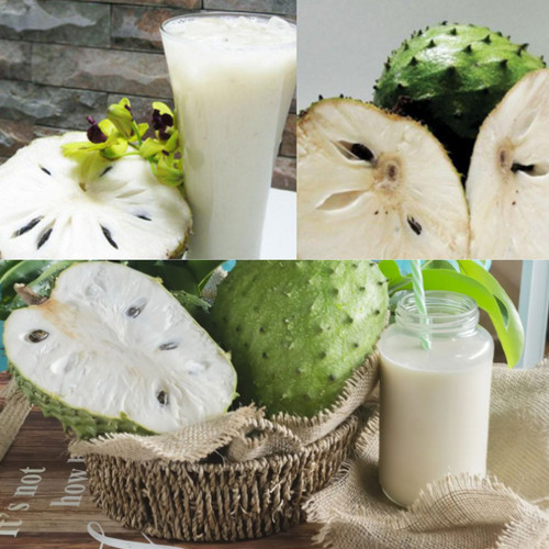 SOURSOP LEAVES (7).jpg