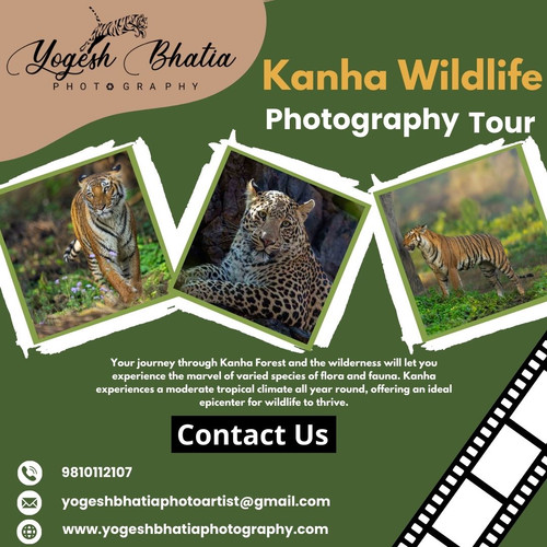Kanha Wildlife Photography Tour.jpg