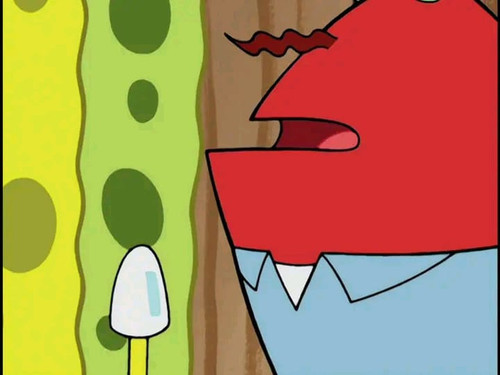 image.jpg
