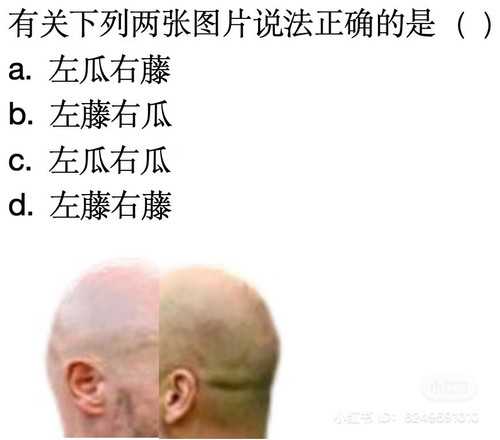 8AE20C2C 423E 4B1A 9323 056426757C7F.jpg