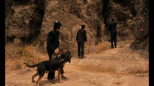 00003.mpls snapshot 00.48.15.114.png