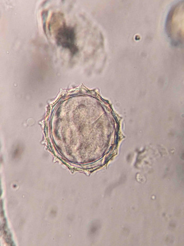 B96636DA F5D0 4293 99B7 02A521FA1478.jpg