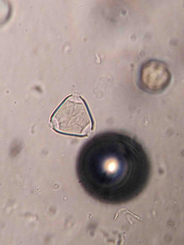 614104EF FF4D 43AE ADA9 8844DF909D32.jpg