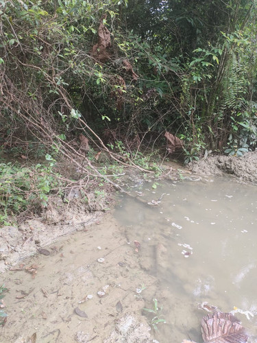 WhatsApp Image 2024 04 10 at 9.38.34 AM.jpg