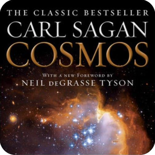 auto background remover bot.png