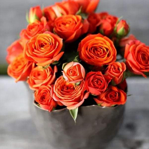 FB IMG 1711833534932.jpg