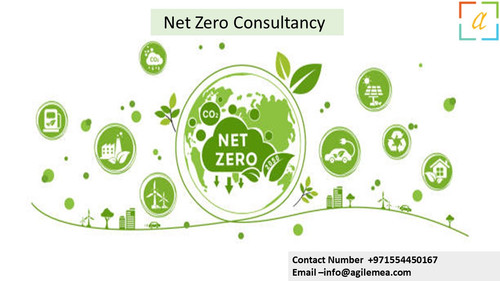 Nz consultancy 10.4.2024.jpg