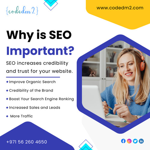 Why SEO Important?.jpg