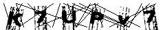test.jpg