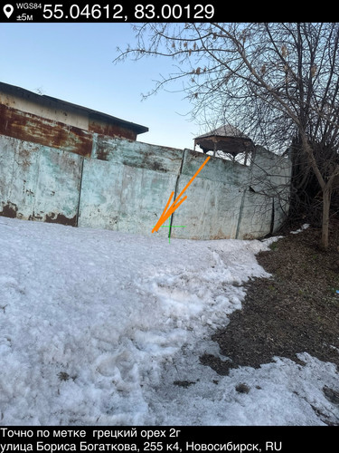 3..jpg