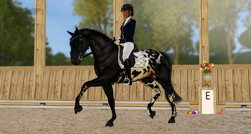Natty Indoor EV BE.jpg