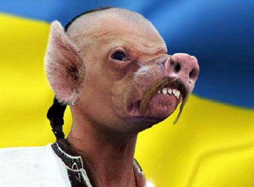 originele avatar TedjeR.jpg