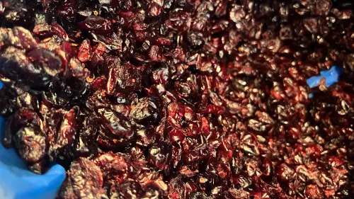 Mirtillo rosso zuccherato 1.00 100 g [frutta disidratata].webp