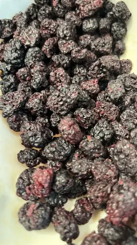 More di bosco 3.00 100 g [frutta disidratata].webp