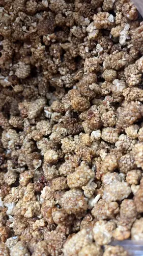 More di gelso bianche 3.00 100 g [frutta disidratata].webp