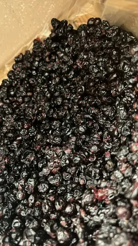 Ribes nero 3.00 100 g [frutta disidratata].webp