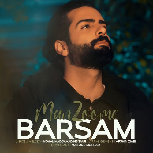 Barsam Salehi Manzoome.jpg