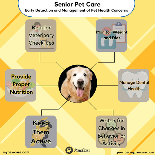 Senior Pet Care – Early Detection and Management of Pet Health Concerns.png