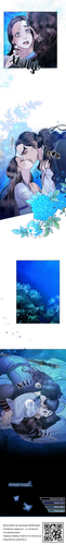12.png