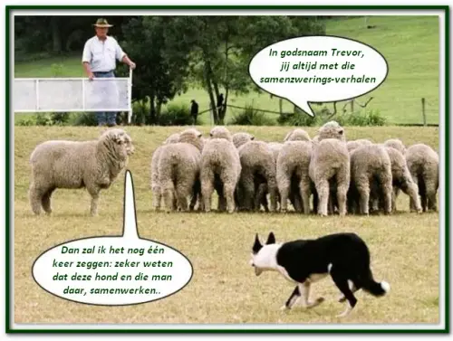 Wat is nou precies een ‘complotdenker’....webp