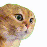 img 1712672474766008nviXoly1hobie70e29g306o06oahk.gif