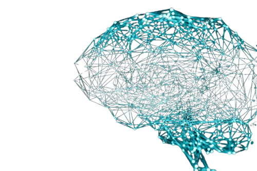 login description background removebg preview.png