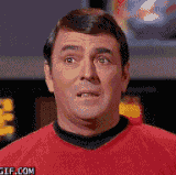 kirk enterprise wtf2.gif