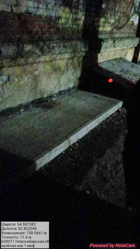 1000009231.jpg