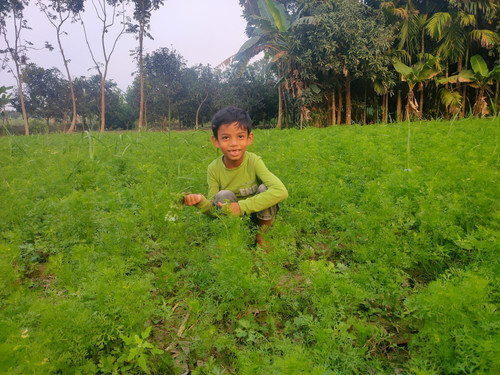 IMG20240222172909.jpg