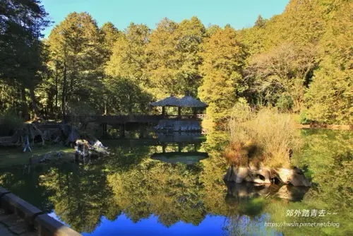 00010 阿里山湖光山色.webp