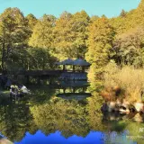 00010 阿里山湖光山色