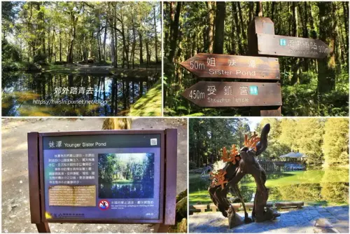 00008 姊妹潭 妹潭.webp