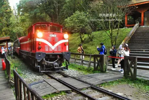 00018 阿里山小火車.webp